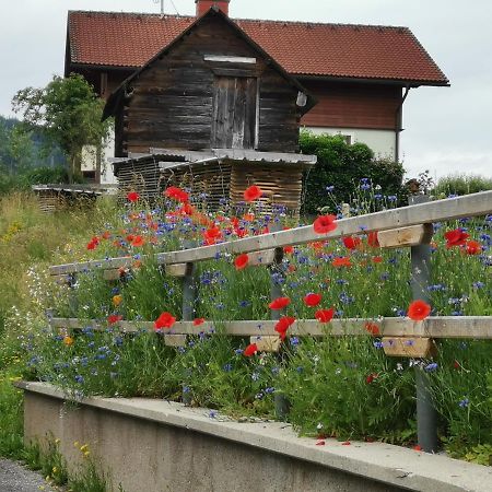 Ferienhaus Raumberg Екстериор снимка