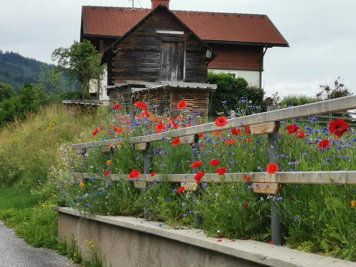 Ferienhaus Raumberg Екстериор снимка